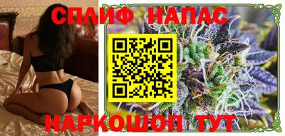скорость Дубна