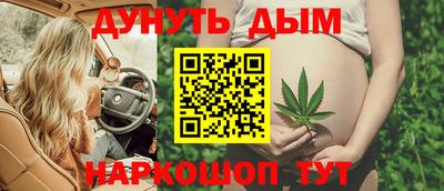 скорость Дубна