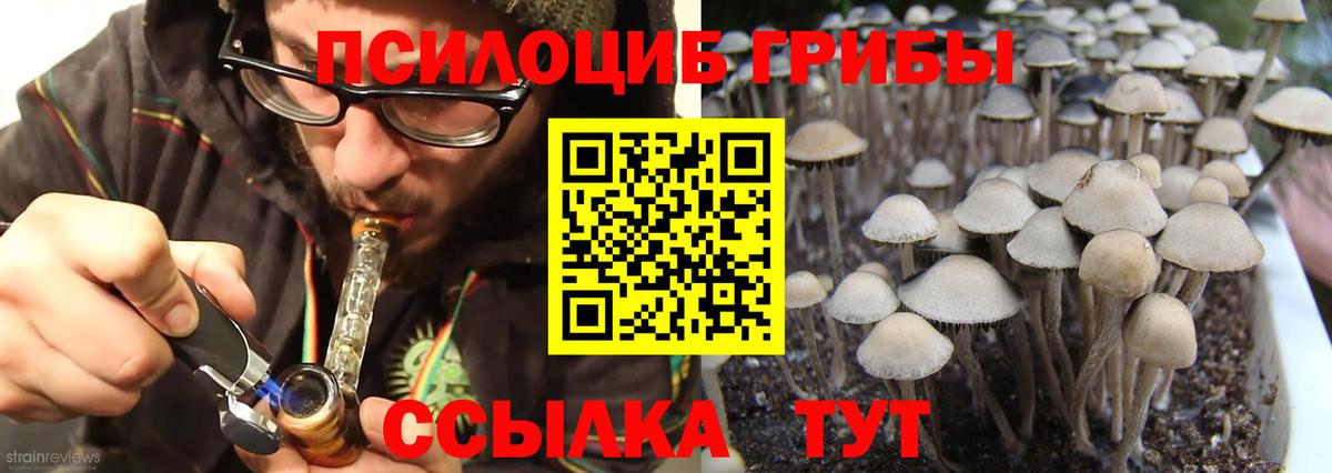 Псилоцибиновые грибы MAGIC MUSHROOMS Малоярославец